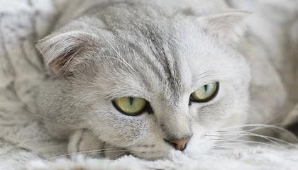 别笑我夸张：我以为吃瓜51没变化，直到我发现分类筛选悄悄变了（这点太容易忽略）