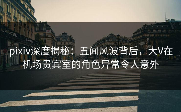 pixiv深度揭秘：丑闻风波背后，大V在机场贵宾室的角色异常令人意外