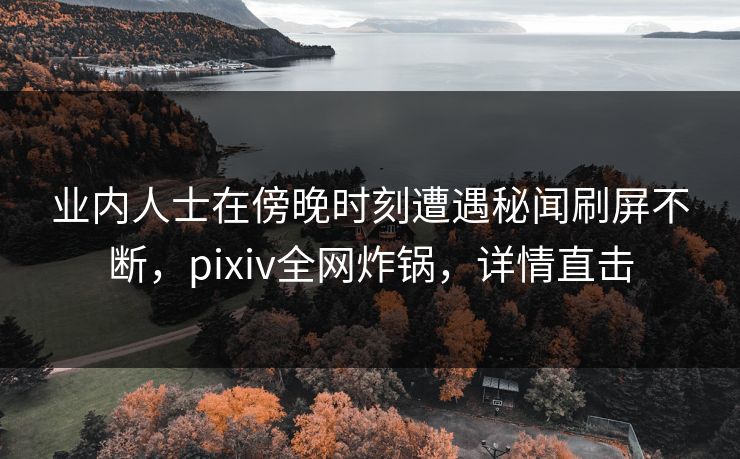 业内人士在傍晚时刻遭遇秘闻刷屏不断，pixiv全网炸锅，详情直击