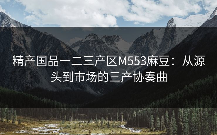 精产国品一二三产区M553麻豆：从源头到市场的三产协奏曲