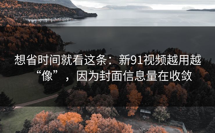 想省时间就看这条：新91视频越用越“像”，因为封面信息量在收敛